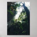 Search for science tree posters Nature