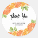 Search for orange slice stickers Citrus