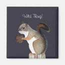 Search for wild squirrel magnets Rodent