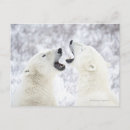 Search for anger horizontal postcards Nature