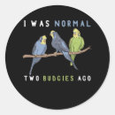 Search for budgie stickers Bird