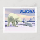 Search for arctic tundra postcards Wildlife