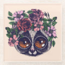 Search for lemur coasters Primate