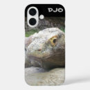 Search for dragon photography Reptile