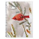 Search for cardinal notebooks Nature