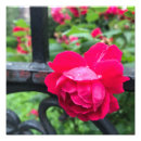 Search for day flower art Nature
