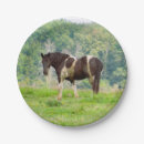 Search for horse paper plates Landscape