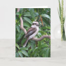 Search for kookaburra cards Bird