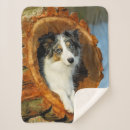 Search for funny photography blankets Animal