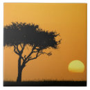 Search for acacia tiles Africa