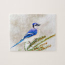 Search for blue jays puzzles Winter