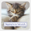 Search for sleep stickers Cat