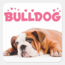 Search for english bulldog puppy stickers Puppies