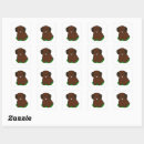 Search for chocolate lab stickers Labrador