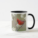 Search for northern cardinal mugs Songbird