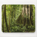 Search for fragile mouse mats Environment