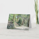 Search for before cards Summer