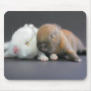 Search for dwarfs mouse mats Horizontal