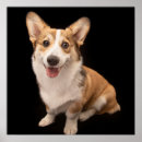 Search for baby smiling posters Cute
