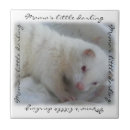 Search for ferret gifts Animal
