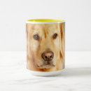 Search for golden retriever puppy mugs Sitting