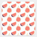 Search for colour patterns stickers Nature