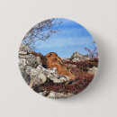 Search for hare badges Animals