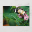 Search for wing postcards Flower