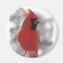 Search for back yard magnets Bird