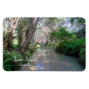 Search for creeks magnets Forest