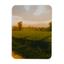 Search for laos magnets Sunset