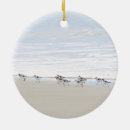 Search for sandpiper christmas tree decorations Ocean