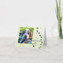 Search for beagle note cards Puppy