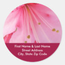 Search for rhododendrons stickers Pink