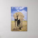 Search for elephant painting canvas prints Mammal