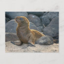 Search for lion postcards Island