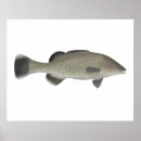 Search for freshwater fishing posters River