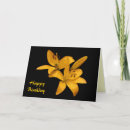 Search for lilium cards Flower