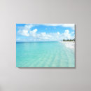 Search for turks and caicos art Tci