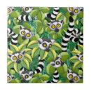 Search for lemur tiles Wild animals