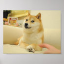 Search for doge posters Meme