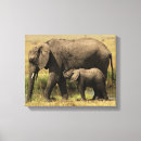 Search for kenya canvas prints Safari animals