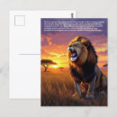 Search for predators postcards Feline