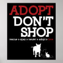 Search for adoption art Spay