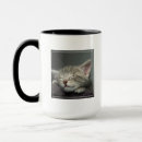 Search for sleepy cat mugs Photography