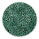 Search for zebra knobs and pulls Safari