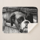Search for boxer dog blankets Canine