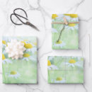 Search for daisies wrapping paper Bloom
