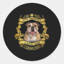 Search for yellow paws stickers Pitbull