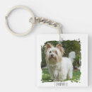 Search for cat best friend key rings Dog
